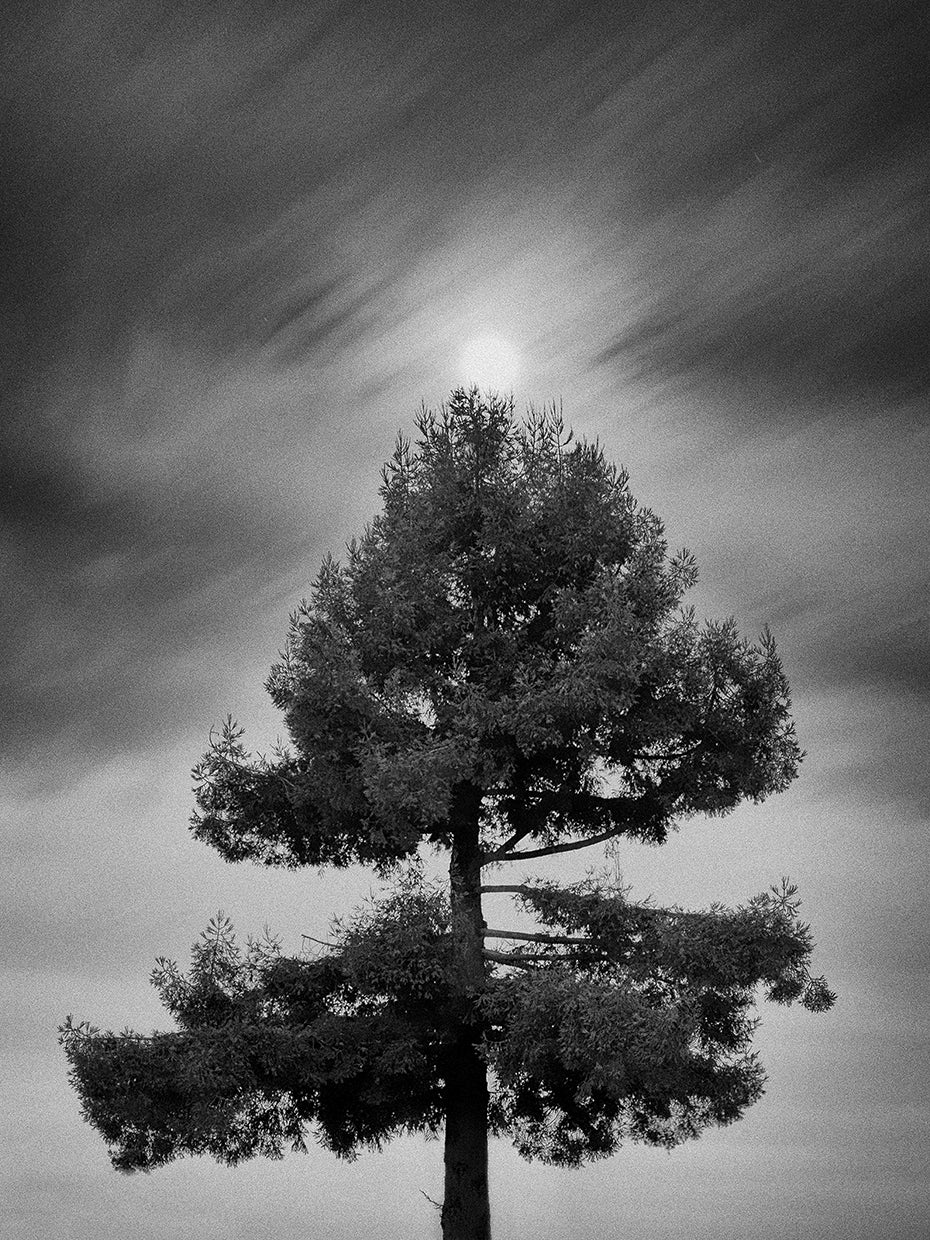 The Drama of the Gifted Child