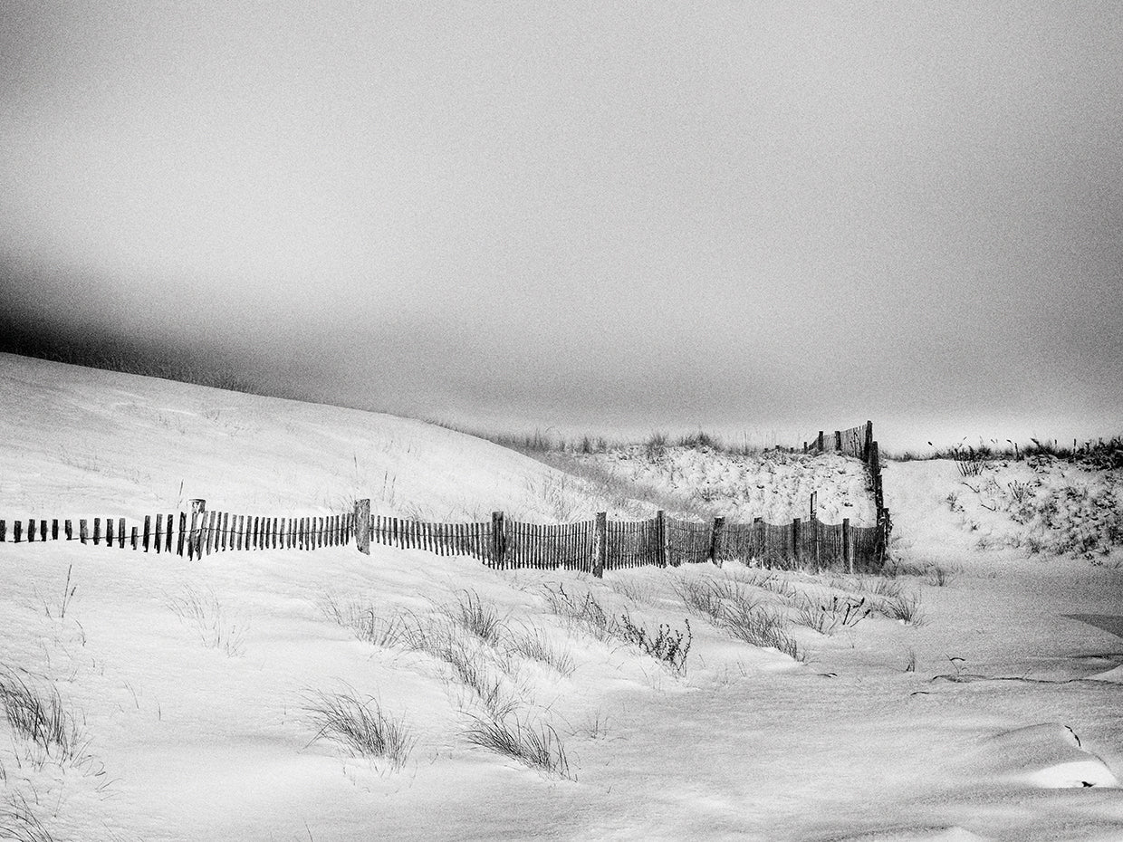 The Mock Turtle's Lament Monochrome