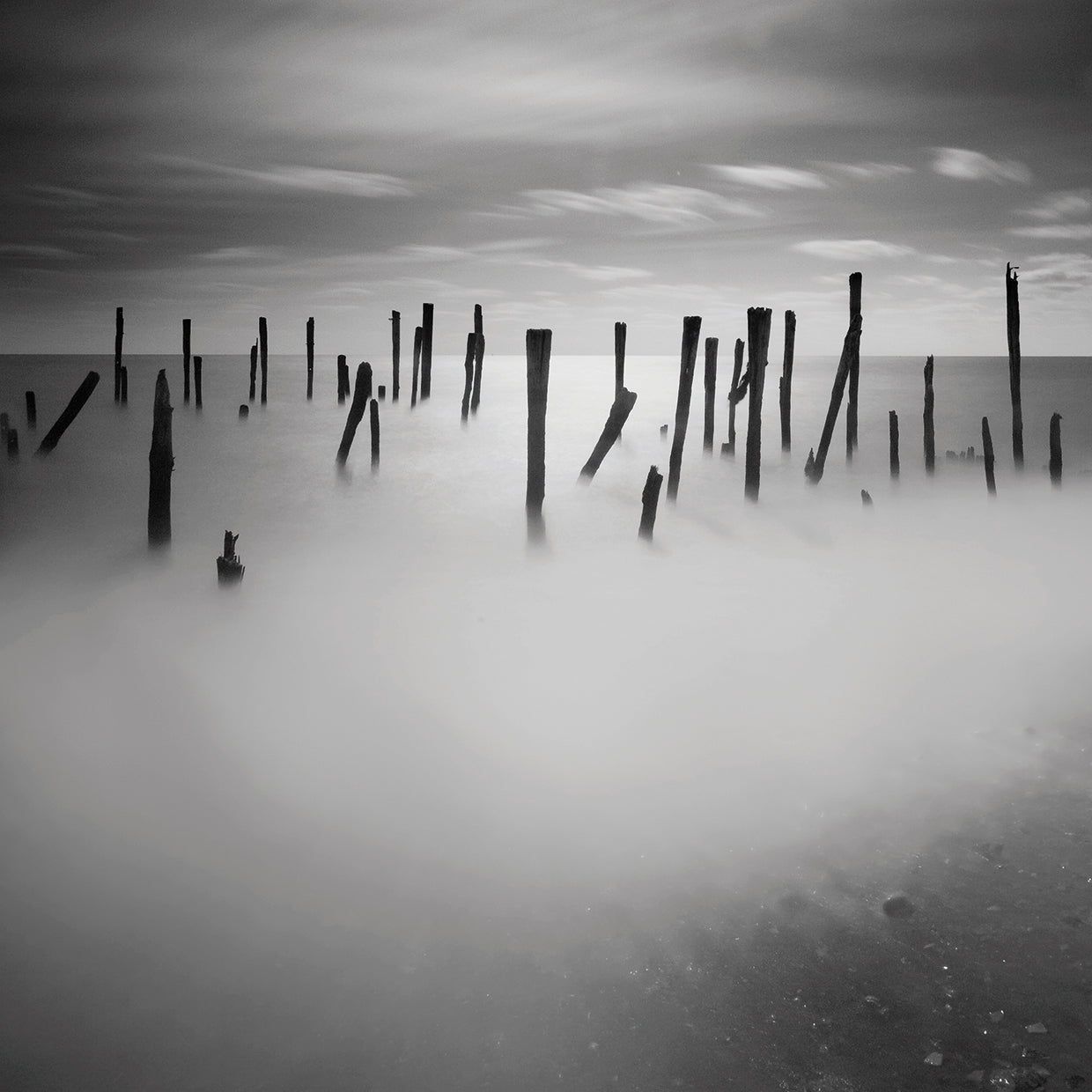 Out of Kindness I Suppose