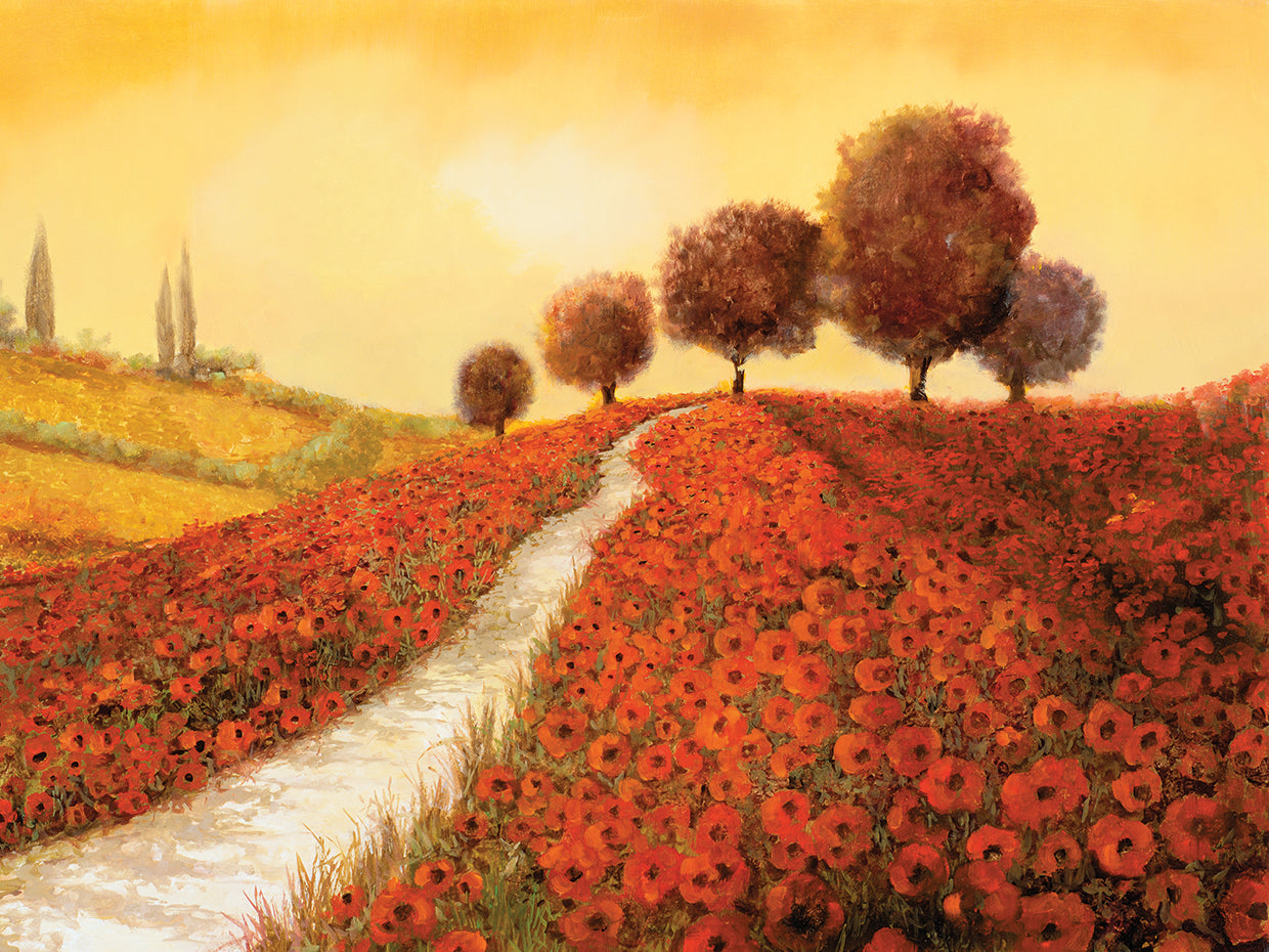 La Collina dei Papaveri