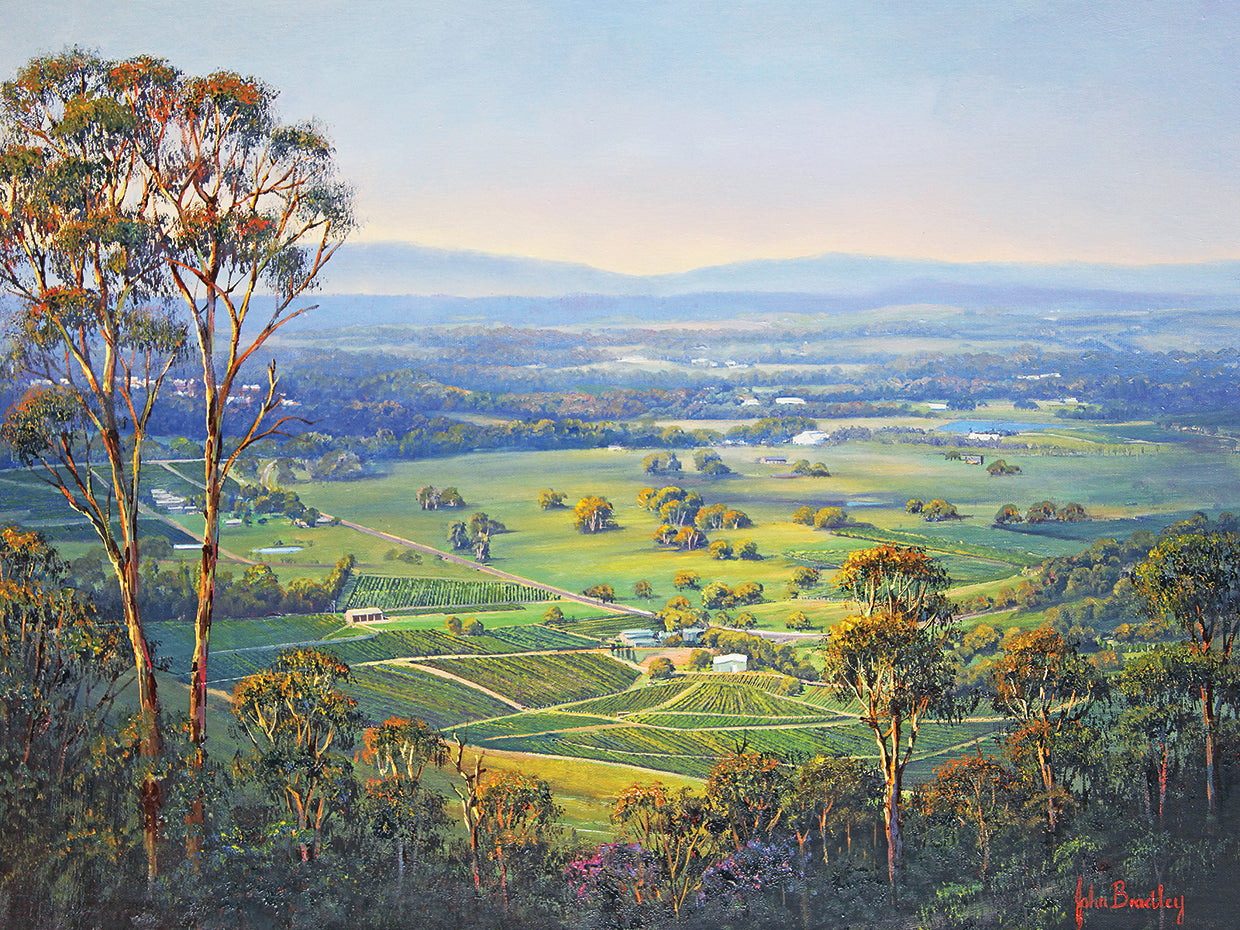 Pokolbin Pastoral 2 Lienzo