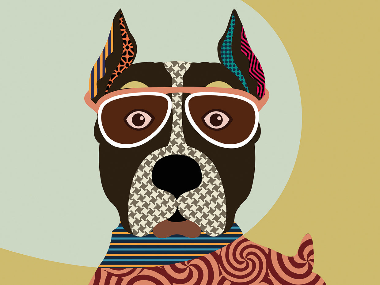 American Staffordshire Terrier