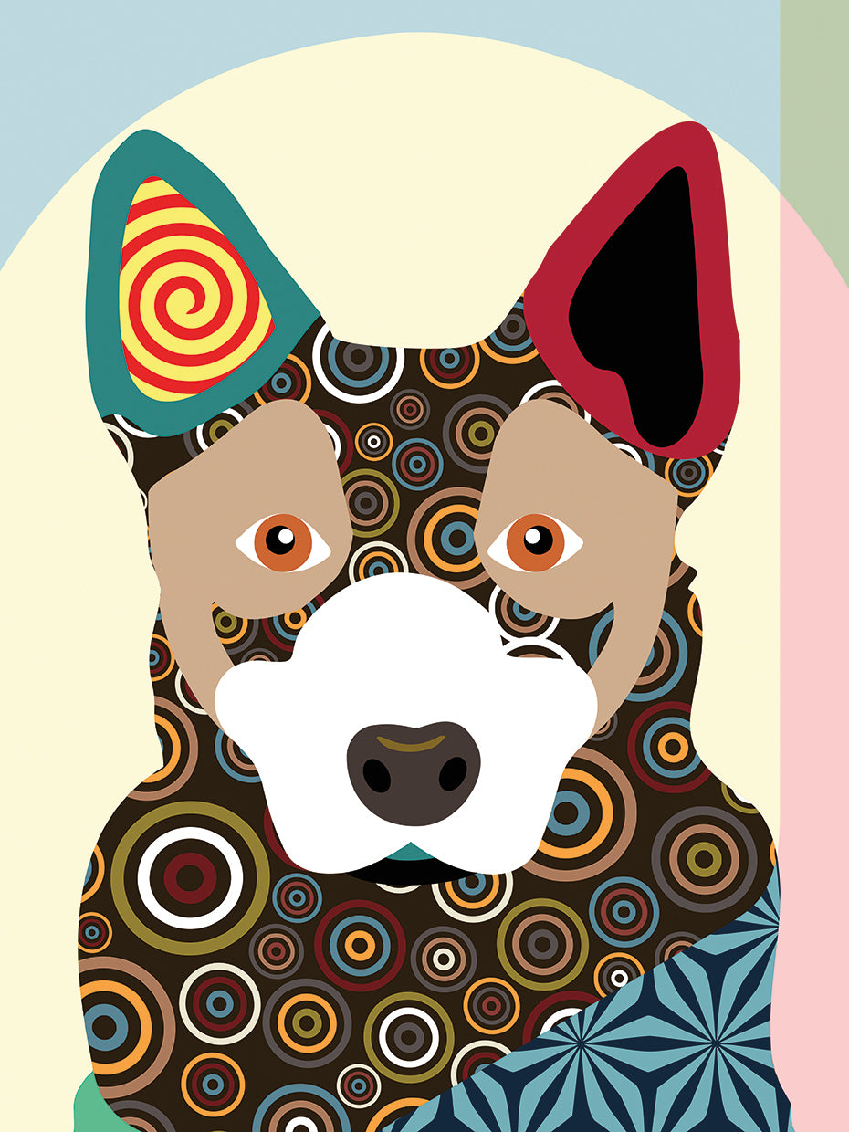 Australian Cattle Dog