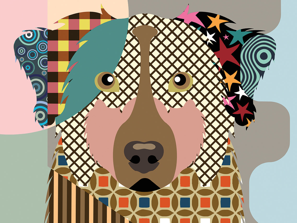 Australian Shepherd Dog