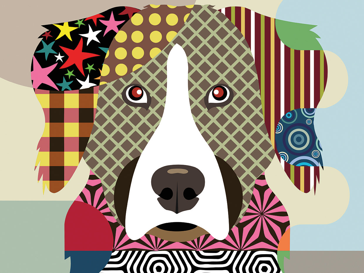 Bernese Mountain Dog