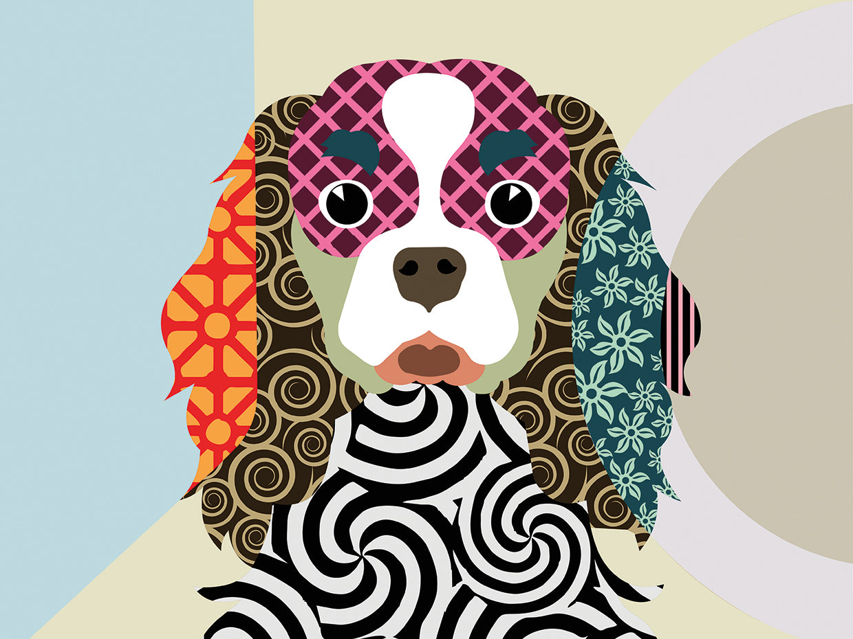 Cavalier King Charles Spaniel