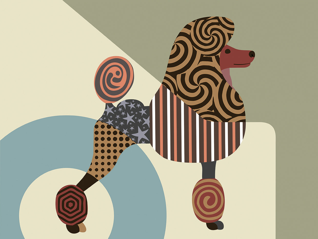 Poodle Dog