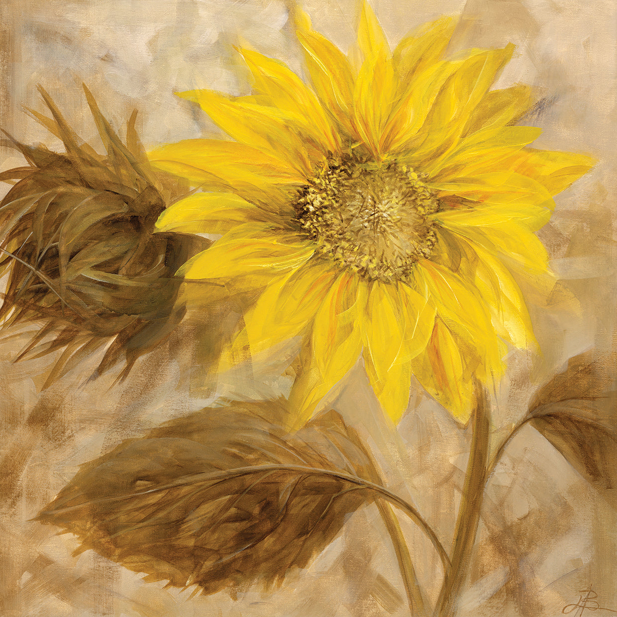 Sunflower III