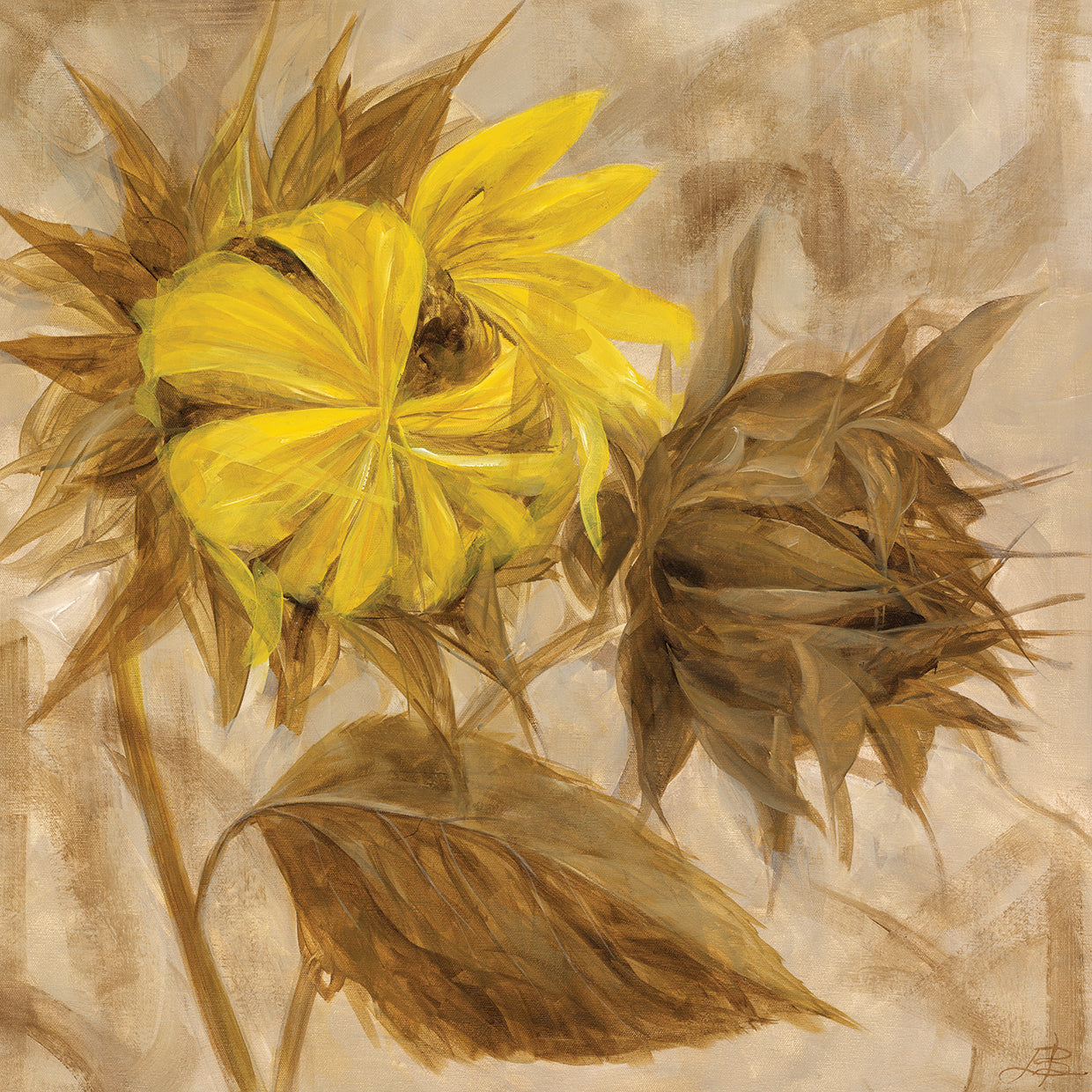 Sunflower IV