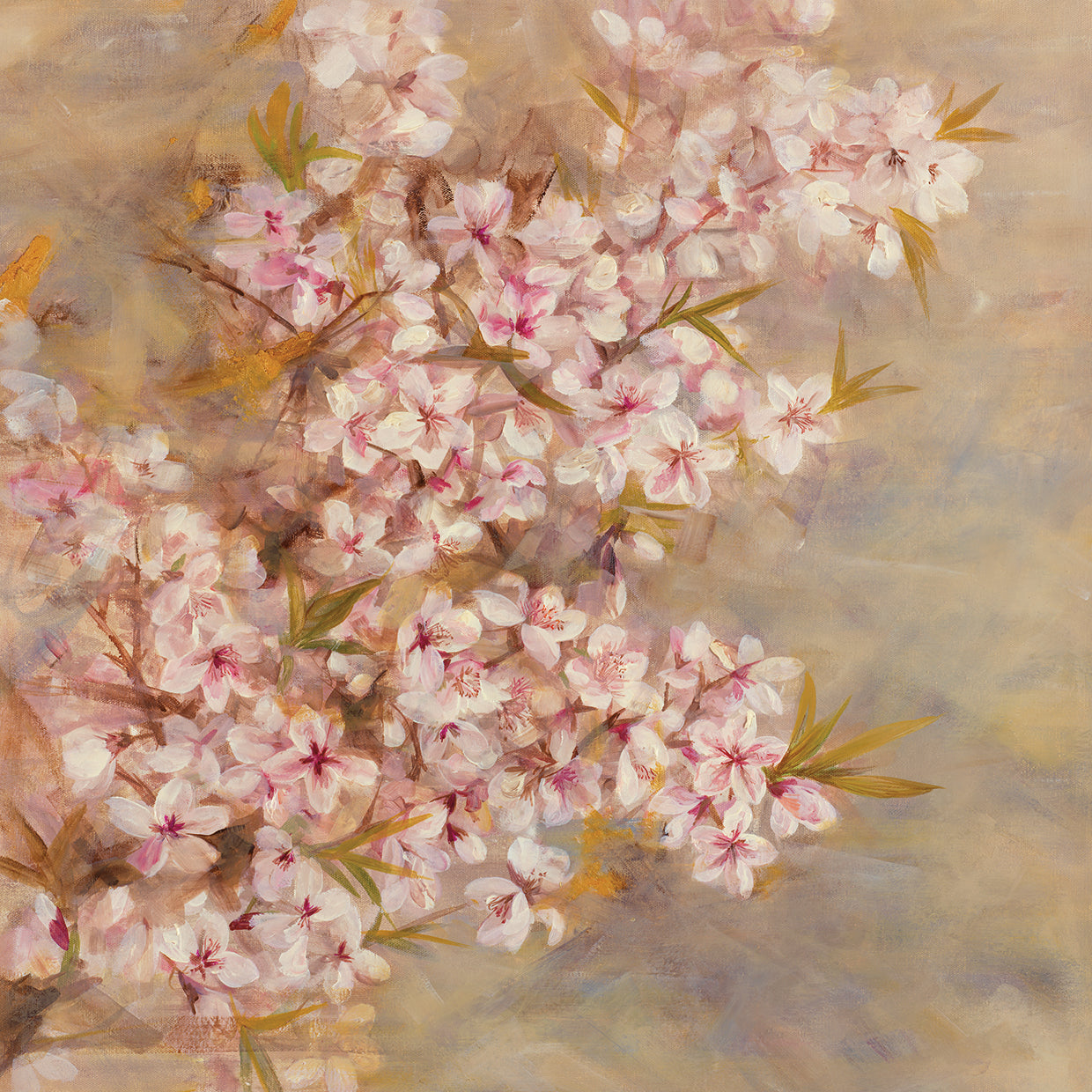 Cherry Blossom II