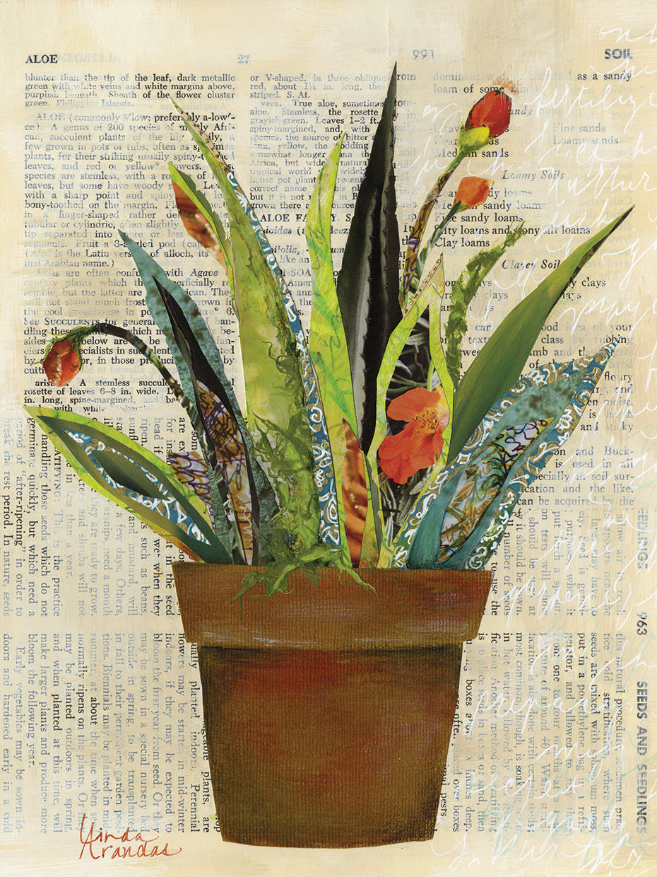 Succulent Salutations