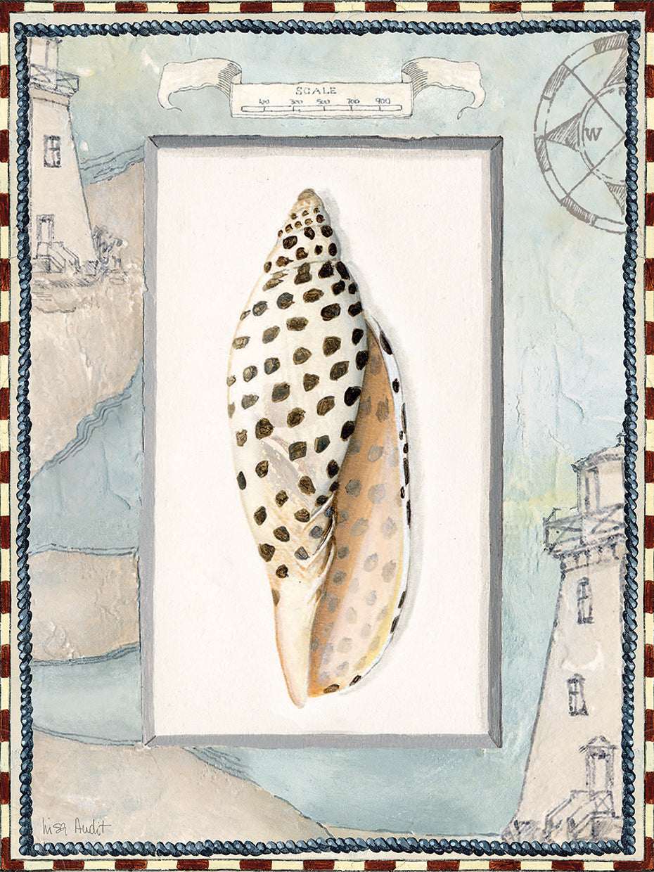Sea Shell Coastal Frame 4