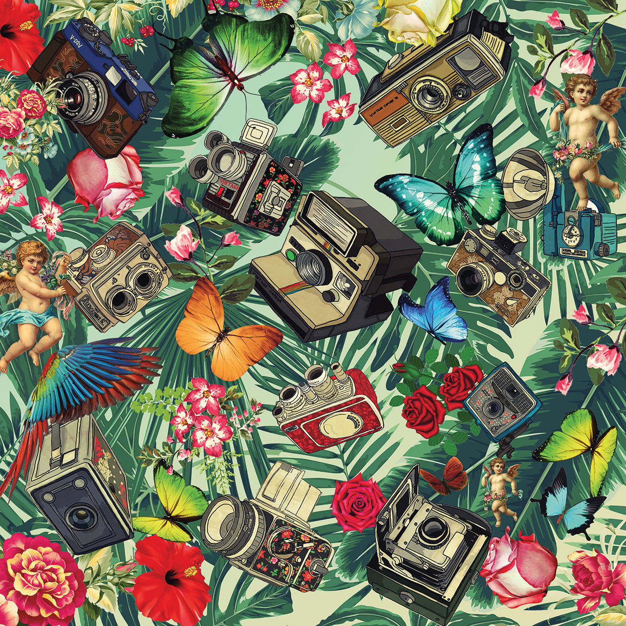 Tropic Fun Vintage 2