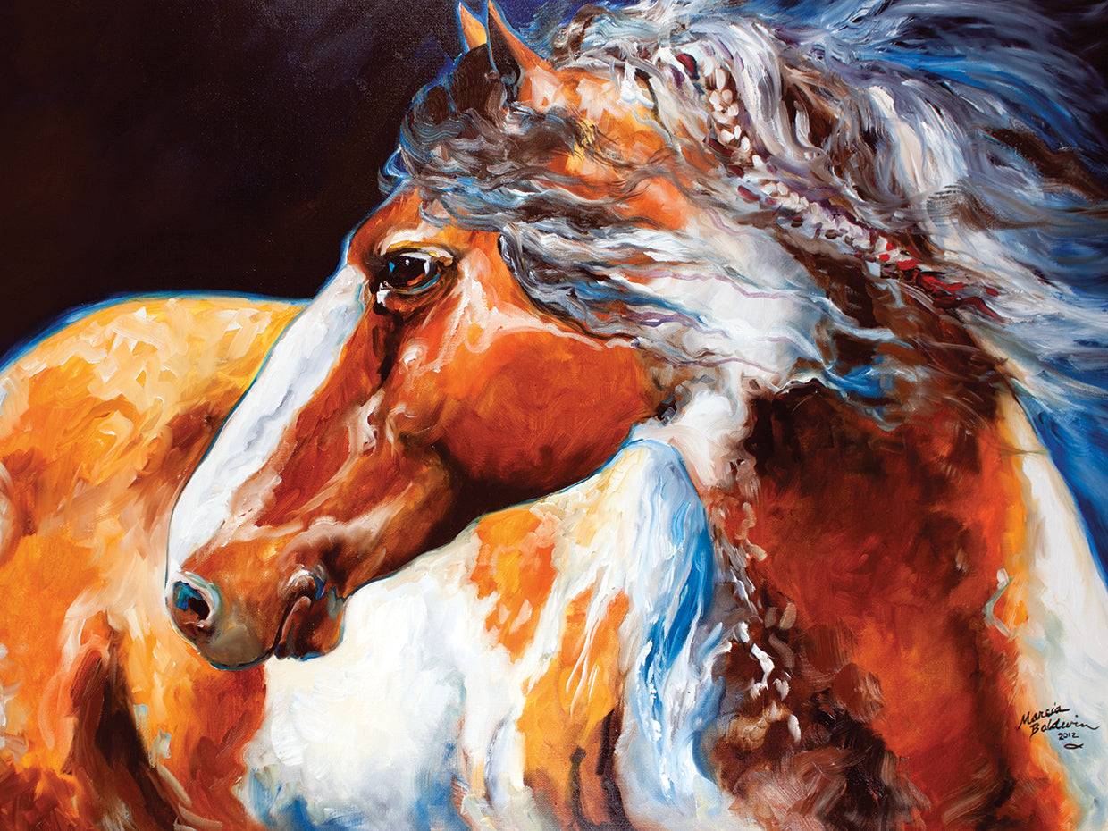 Mohican Indian War Horse