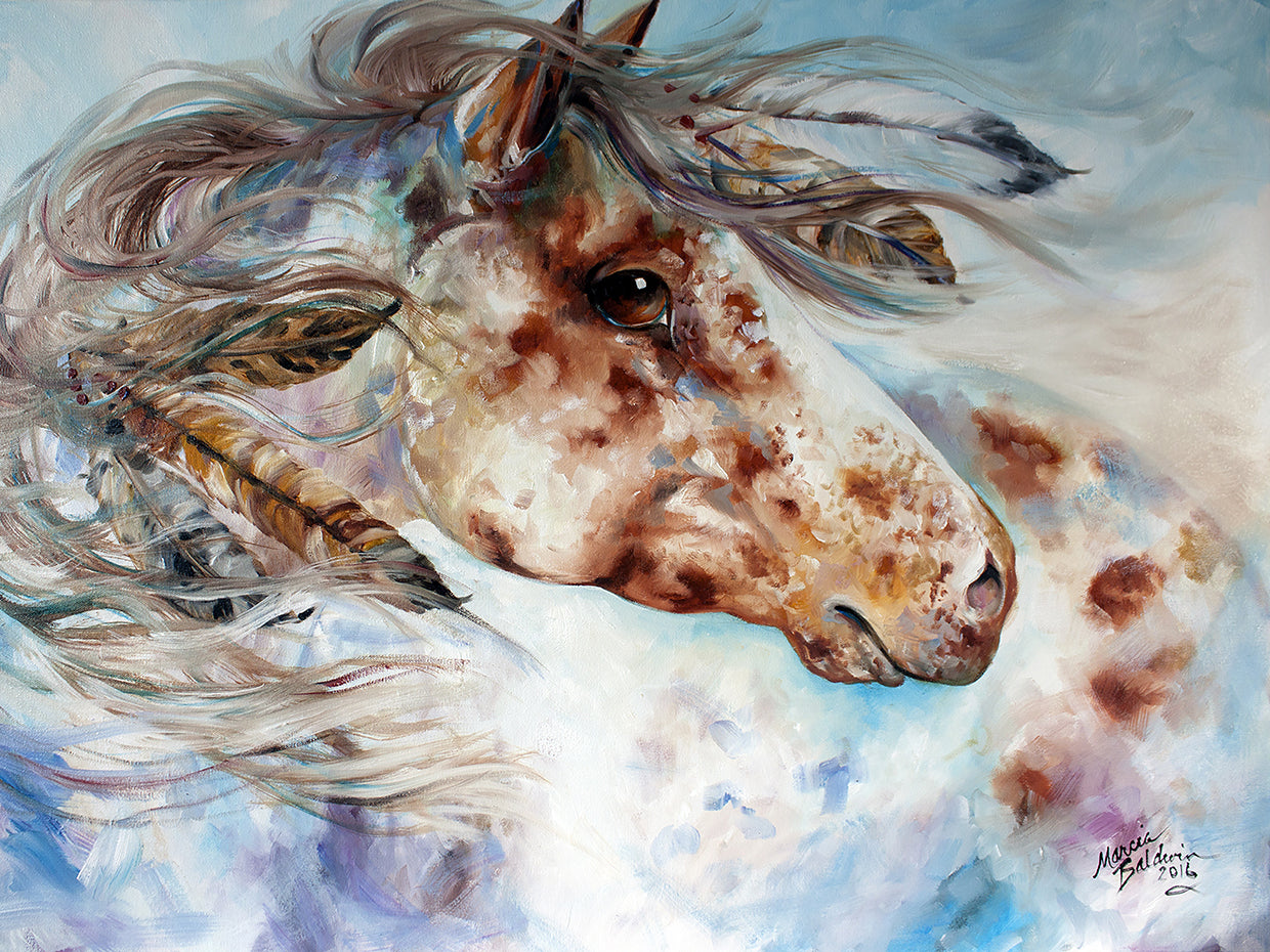 Thunder Appaloosa Indian War Horse