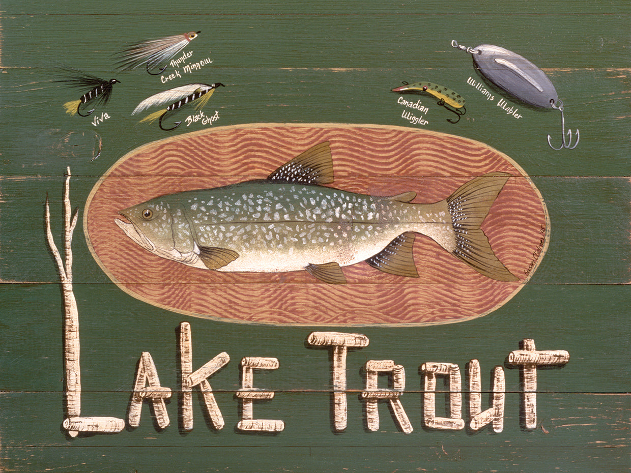 Lake Trout