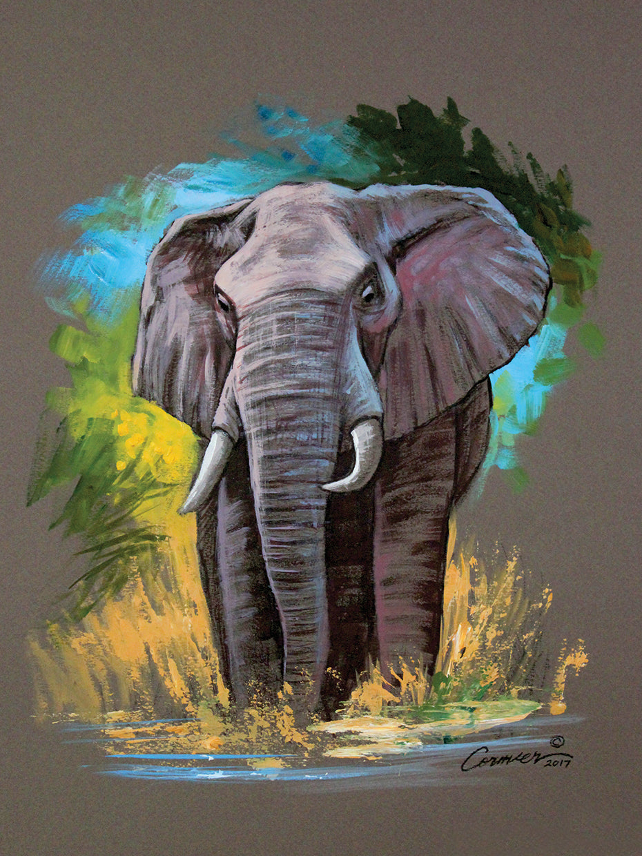 Mixed Media Elephant