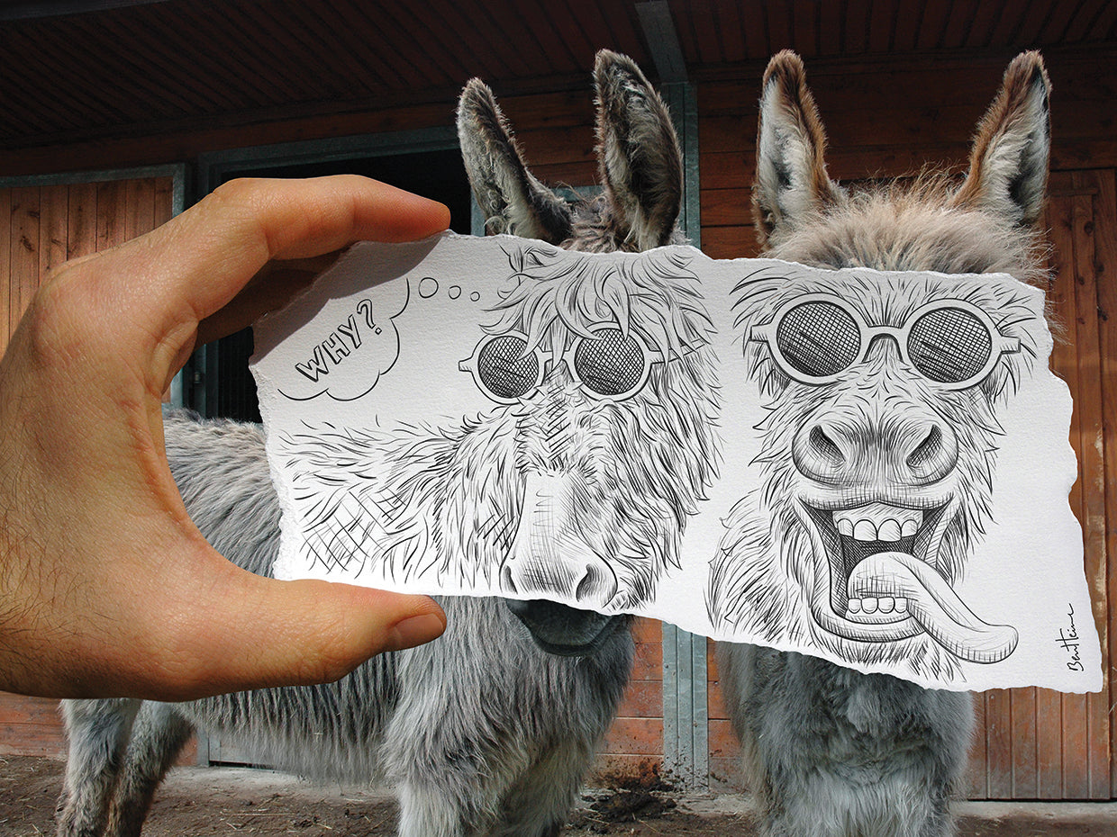 Pencil Vs Camera 12 - Funny Donkeys
