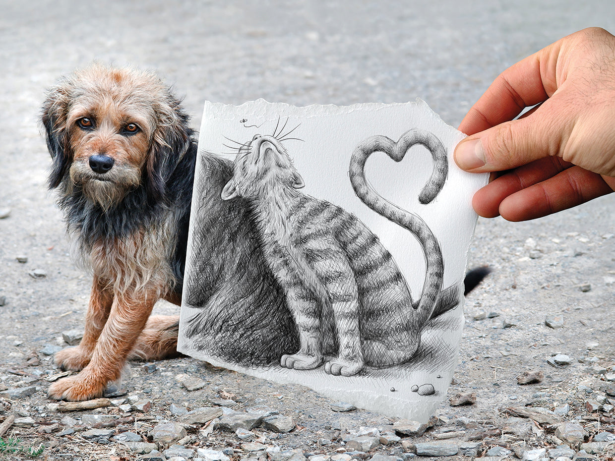 Pencil Vs Camera 58 - Loving Cat