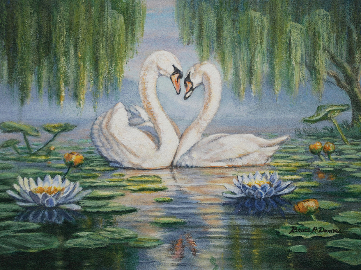Swan Love