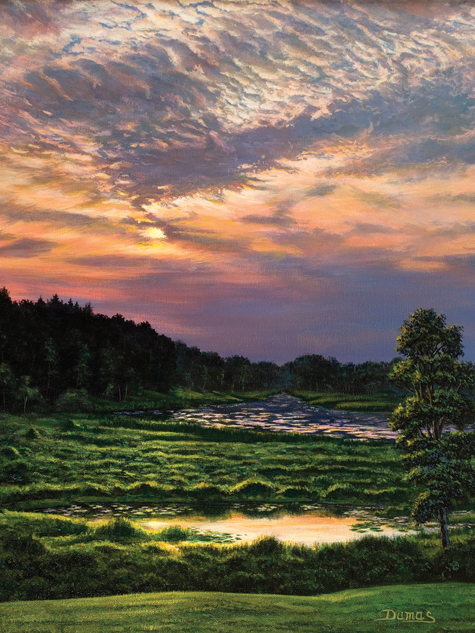 Marsh Sunset