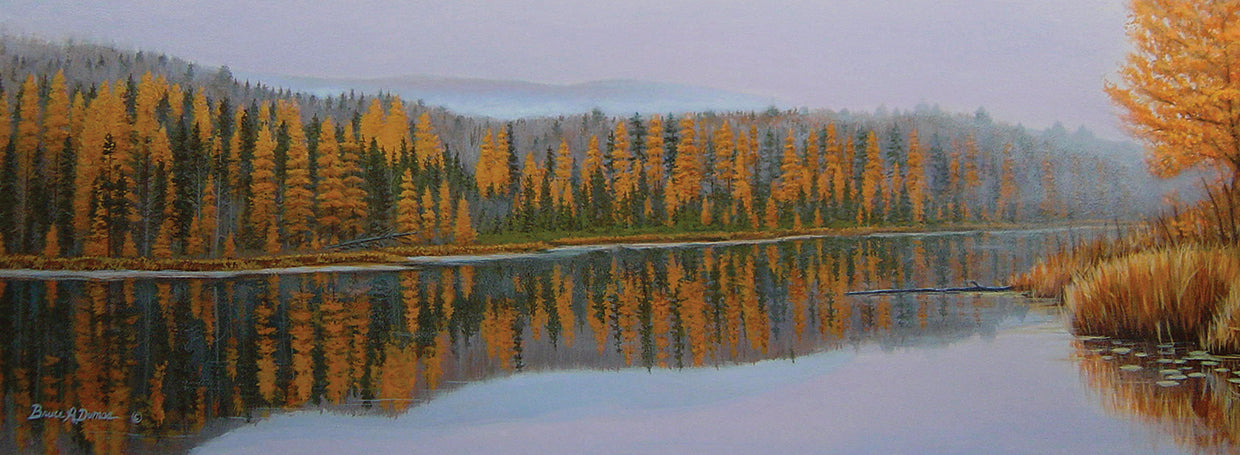 New Hampshire Reflection