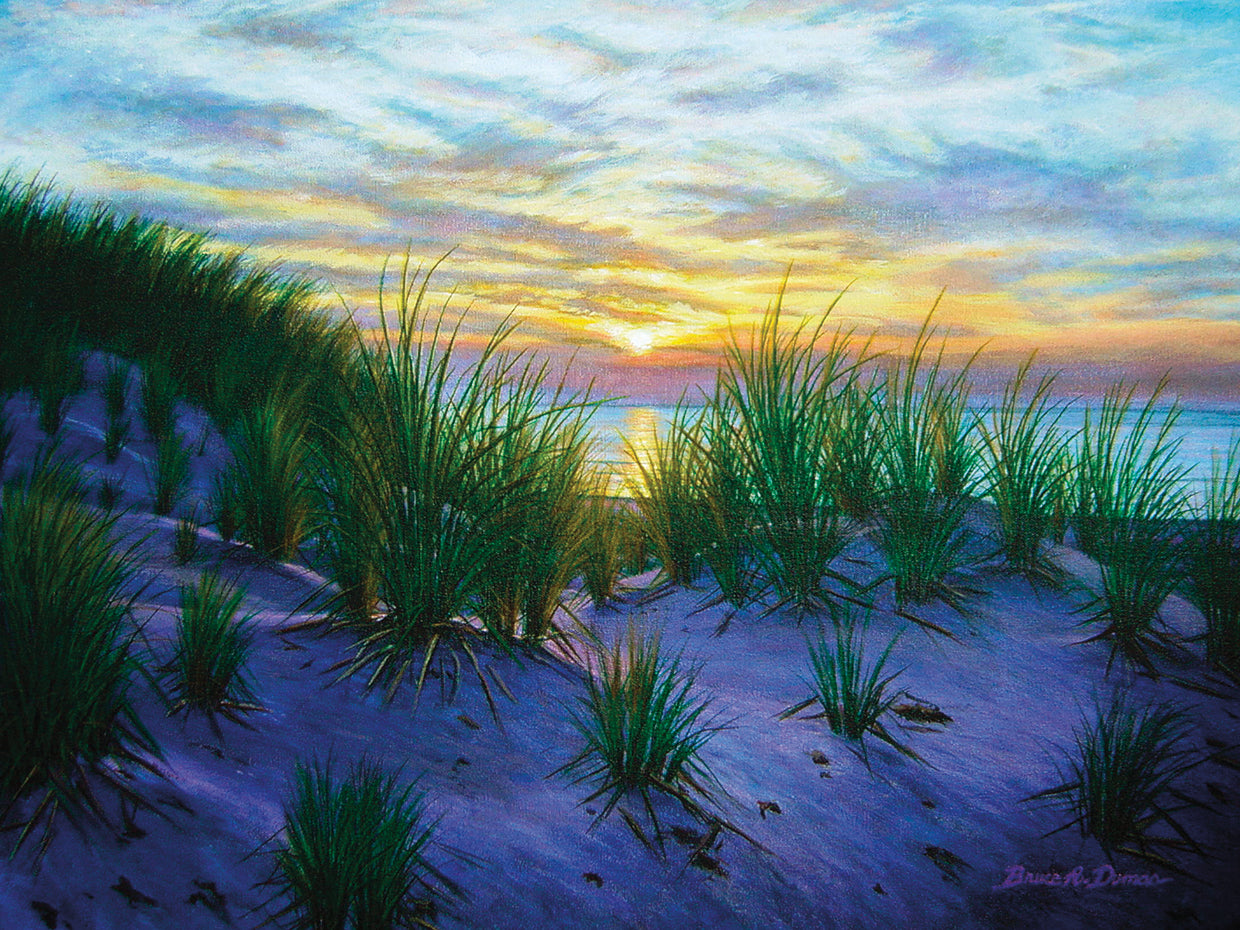 Race Point Dune Sunset