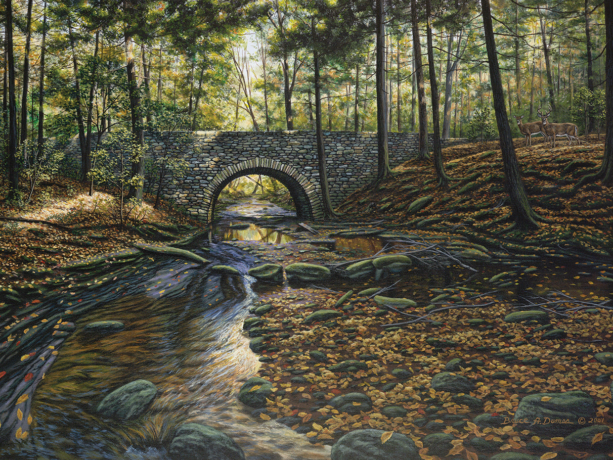 Rock Bridge White Tails