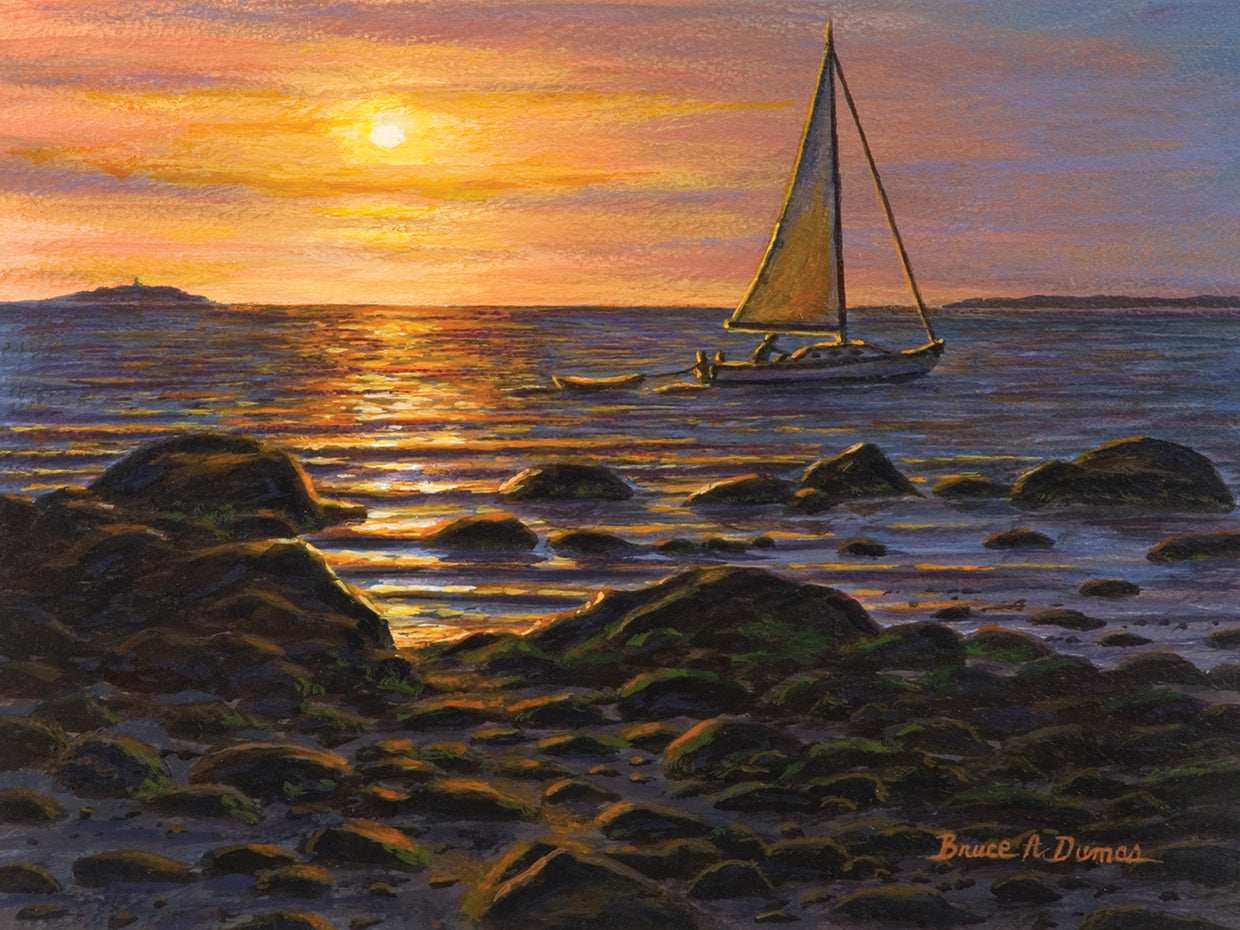 Sail Boat At Napa Tree Pt.