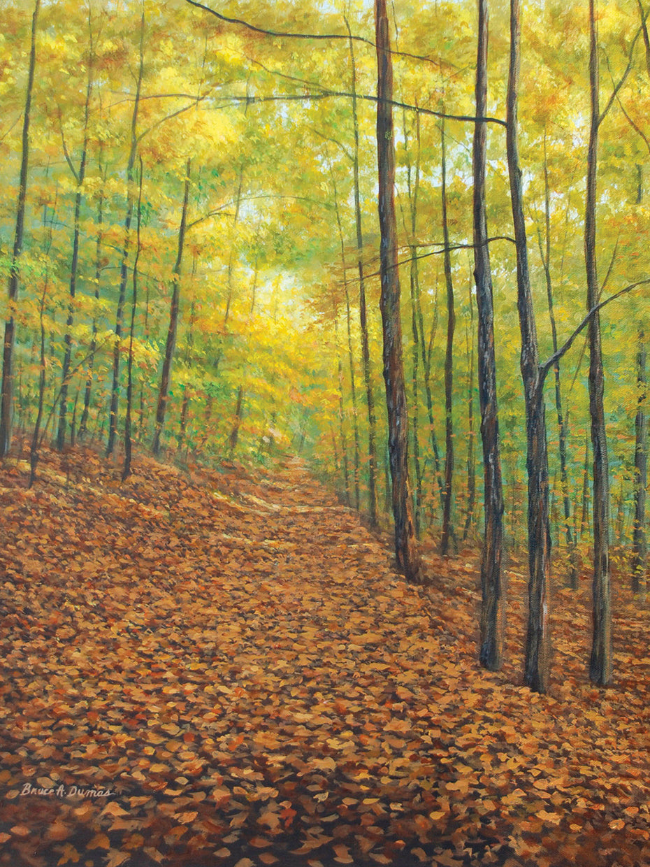 Autumn Trail