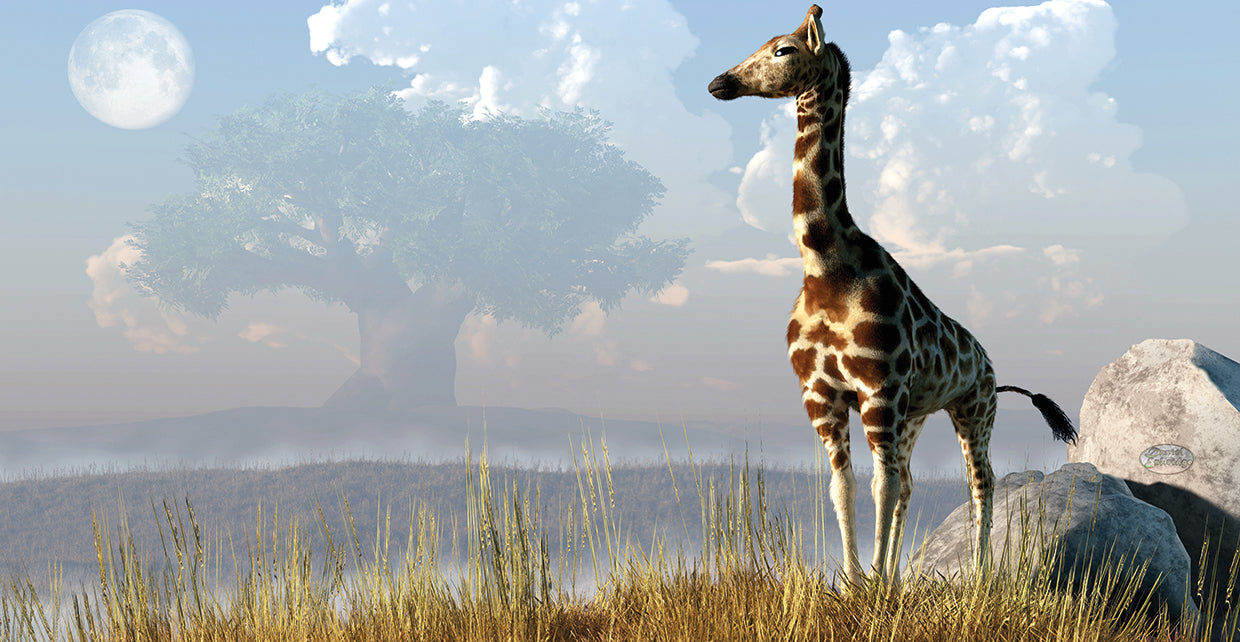 Giraffe And Giant Tree