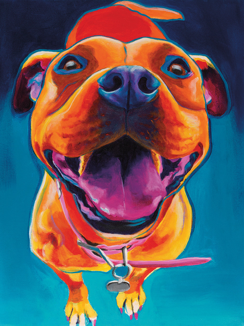 Fiesta Pittie Lienzo