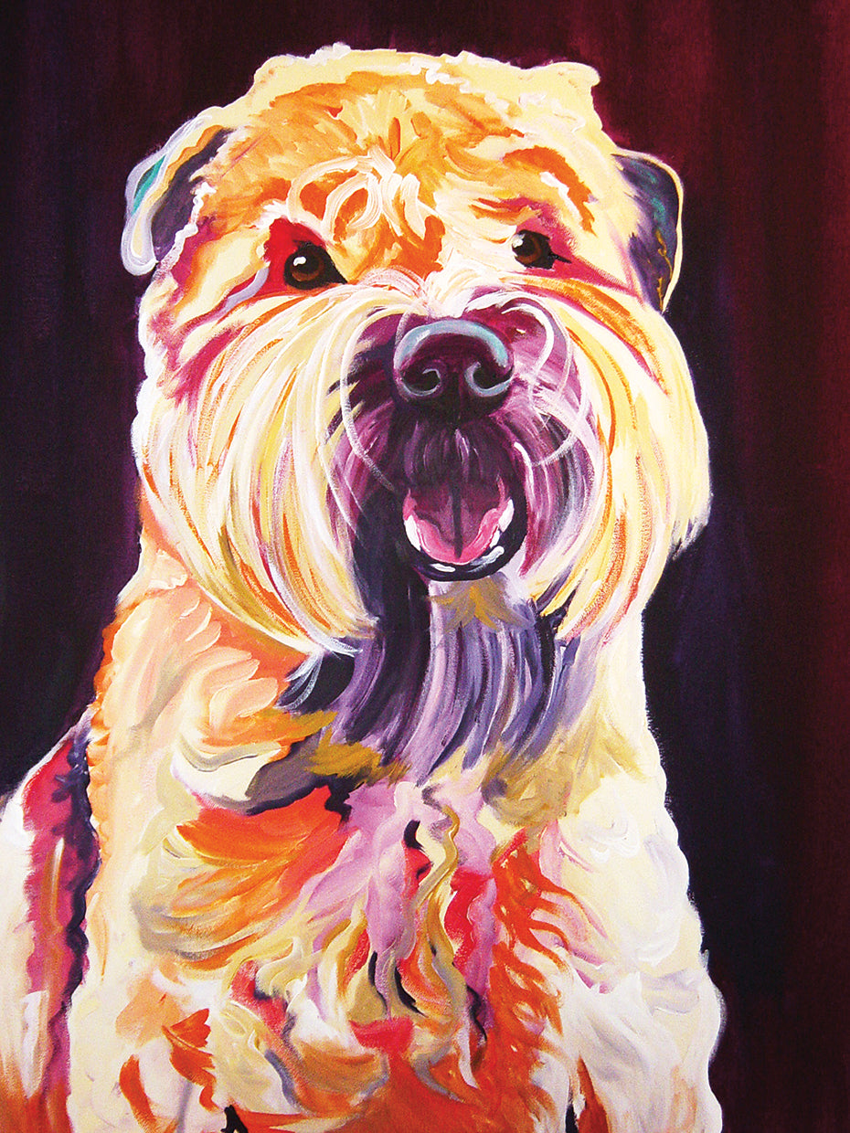 chico bailey Lienzo