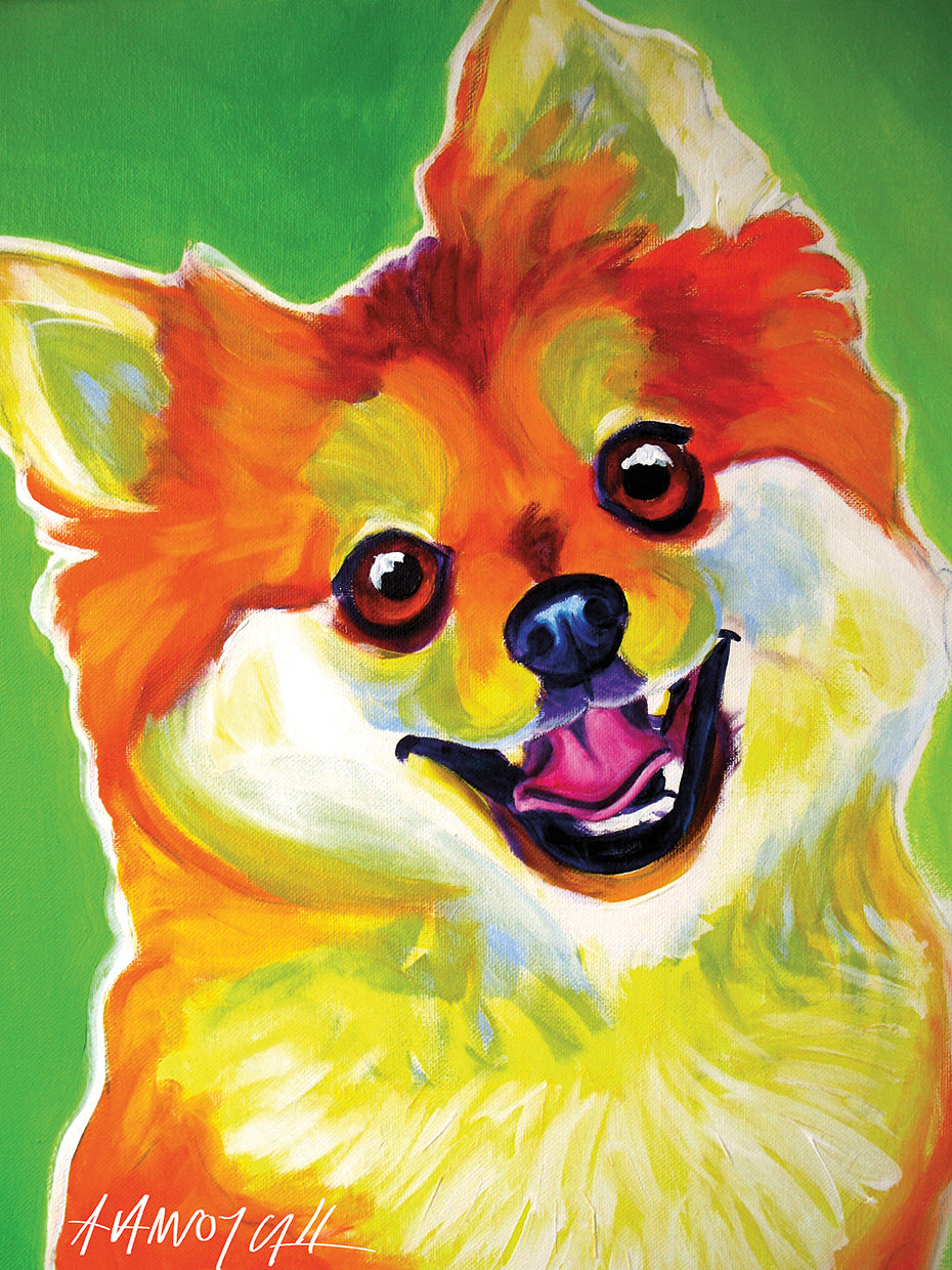 Pomeranian Tiger