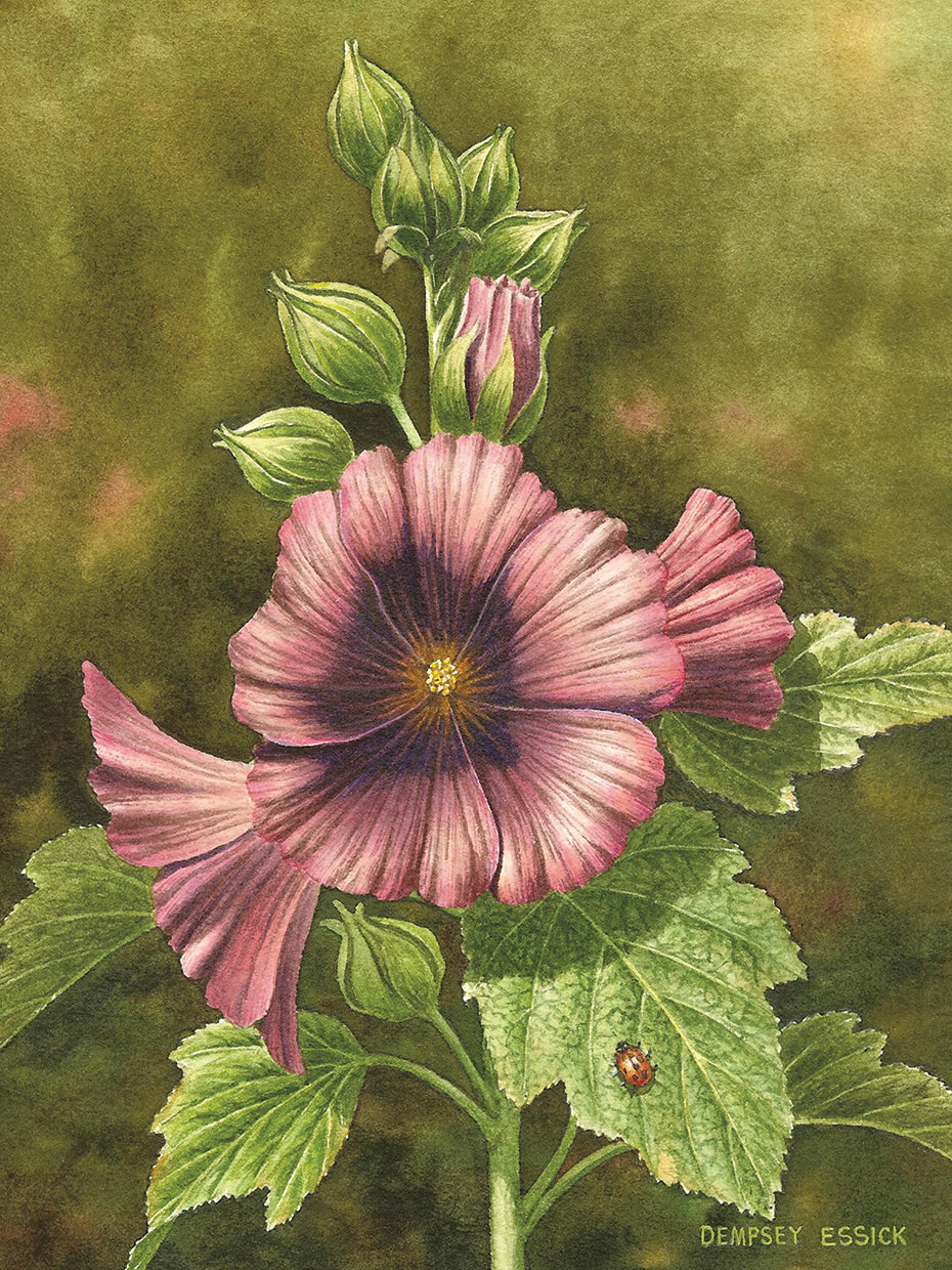 Lady Bug on Hollyhocks