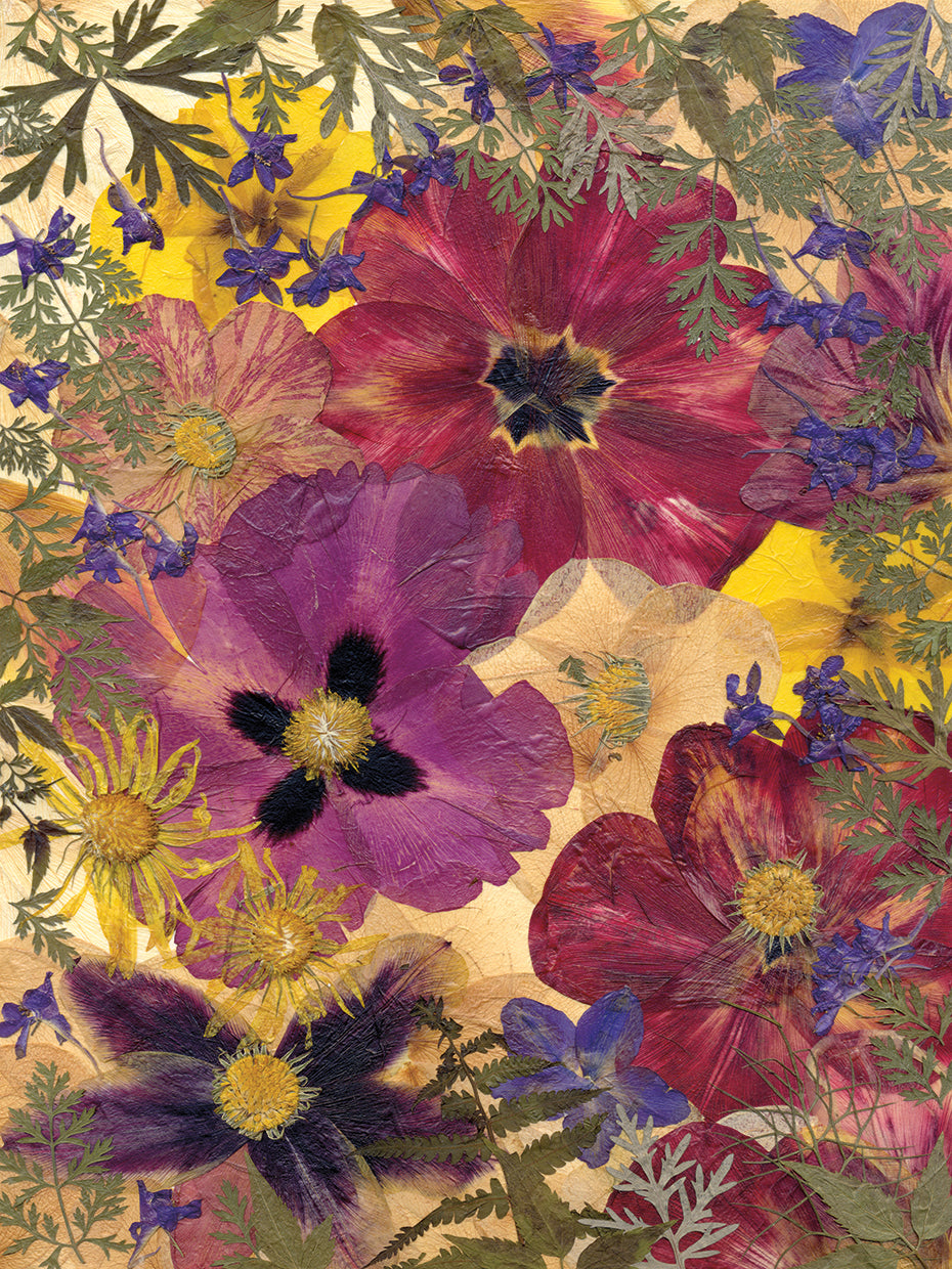 Dried Peony And Tulips