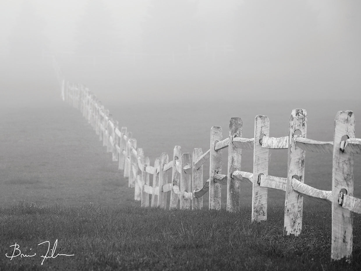 Fence In The Fog