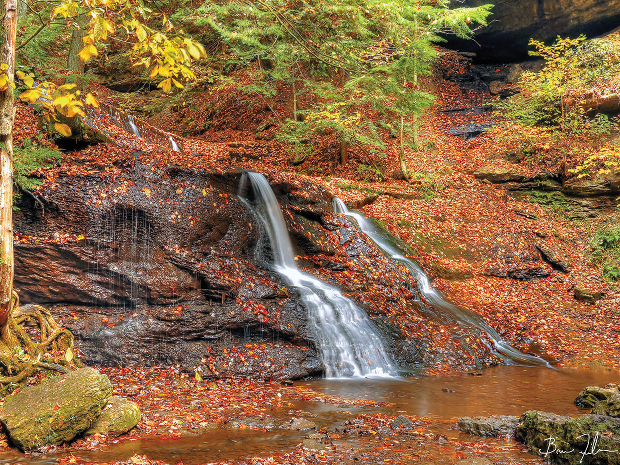 Waterfall In Autumn