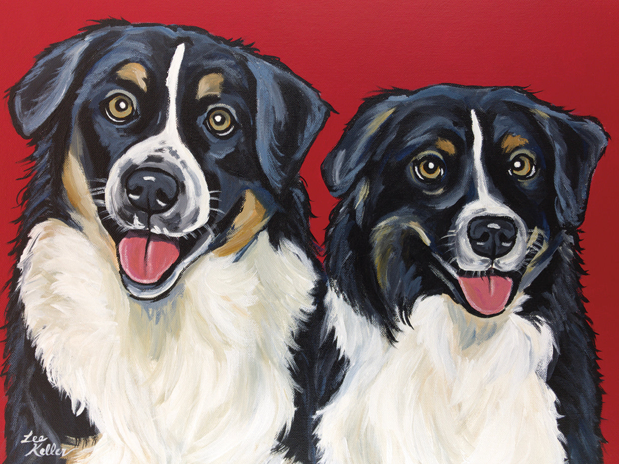 Border Collies 'Amigos' Lienzo