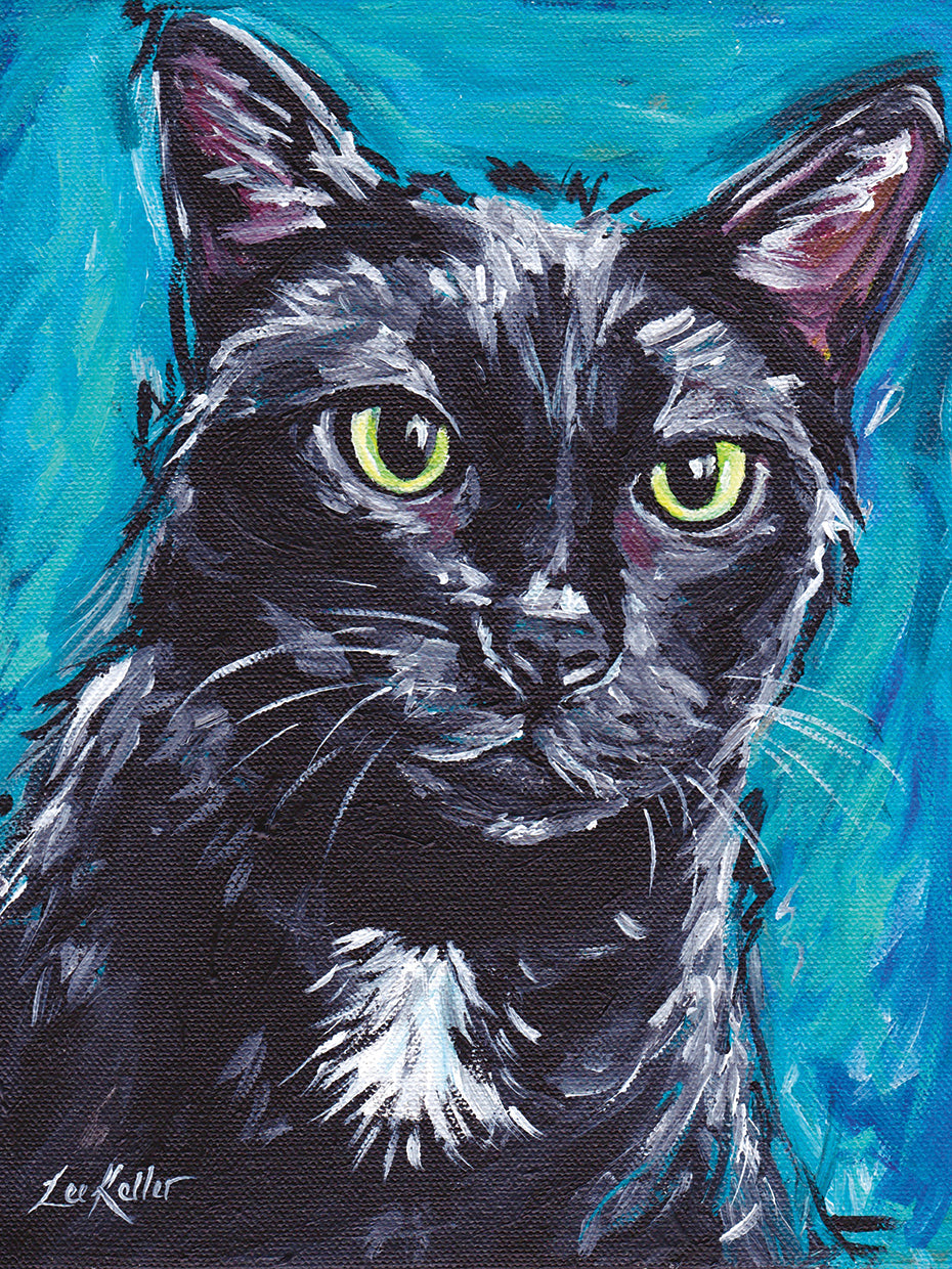 Gato Gato Negro Expresivo Lienzo