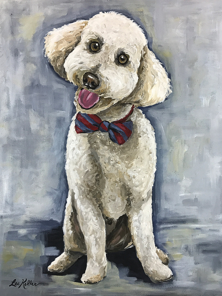 Goldendoodle Bowtie Lindsey