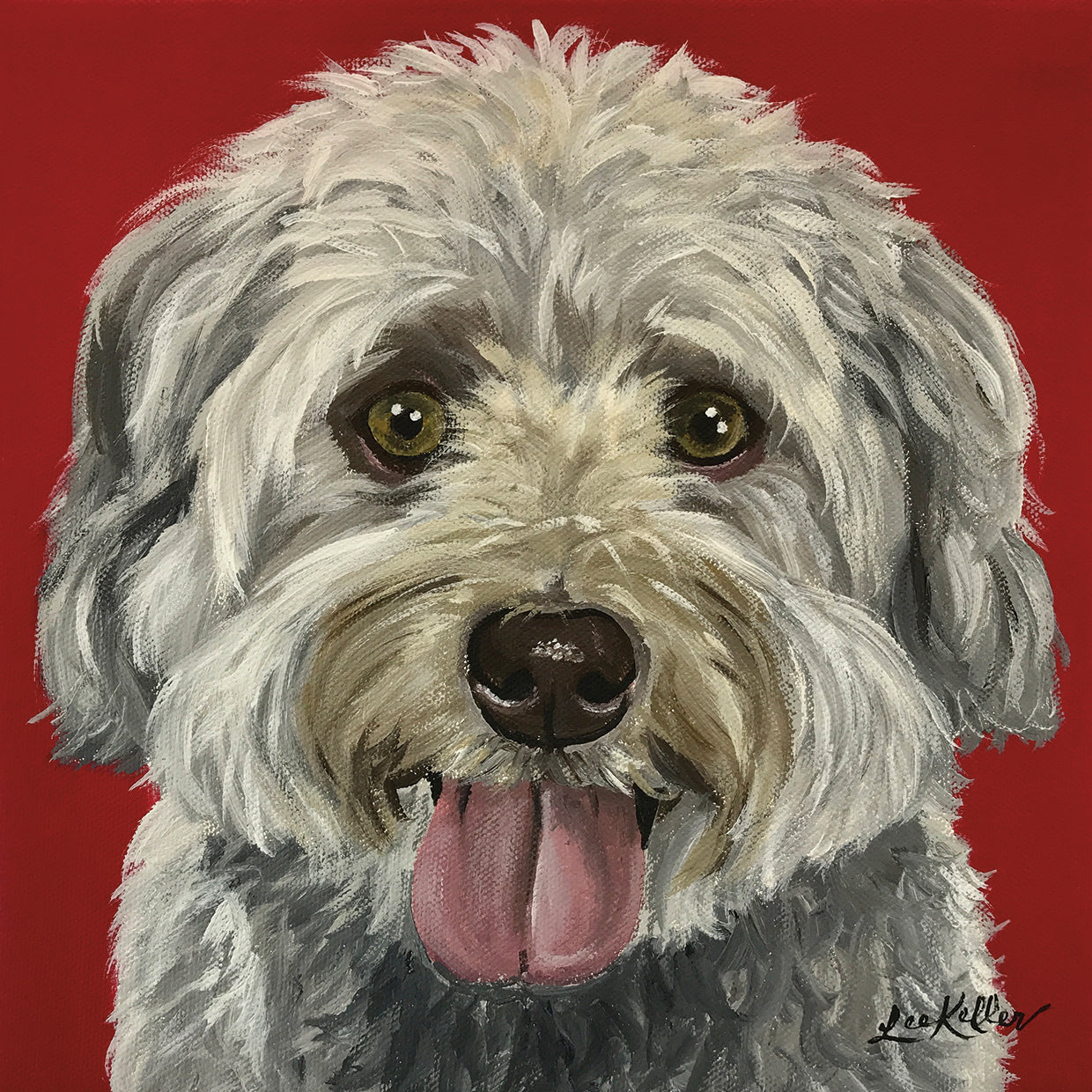 Havanese On Red