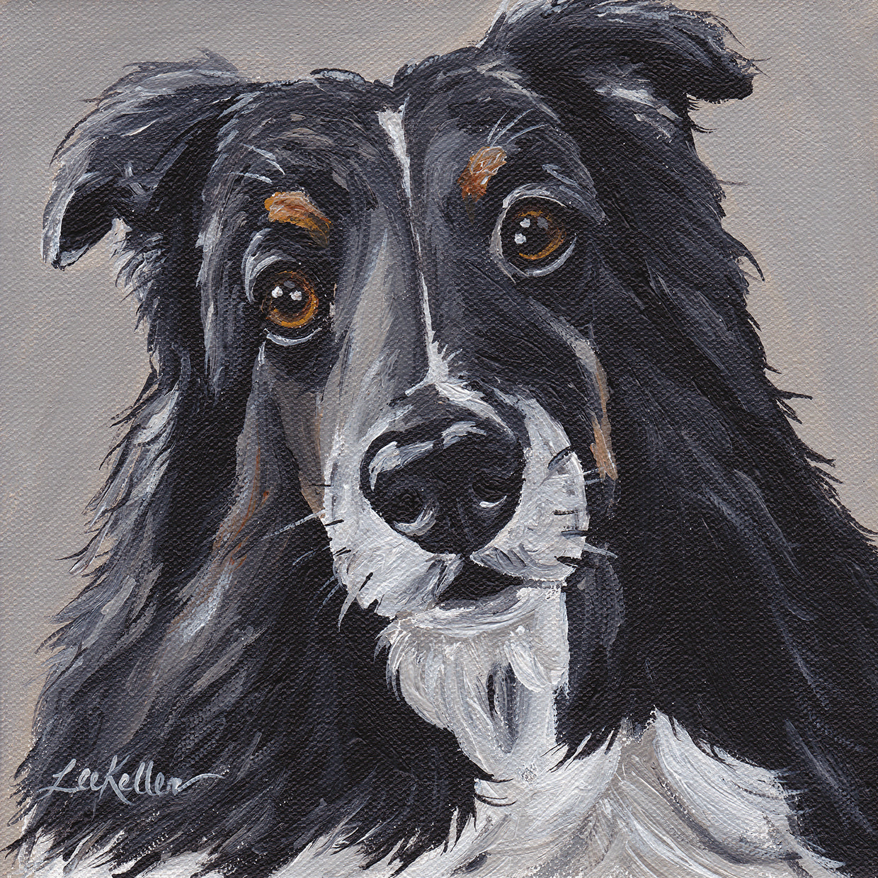 Sheltie On Gray