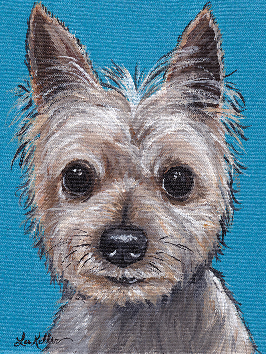 Yorkie On Teal