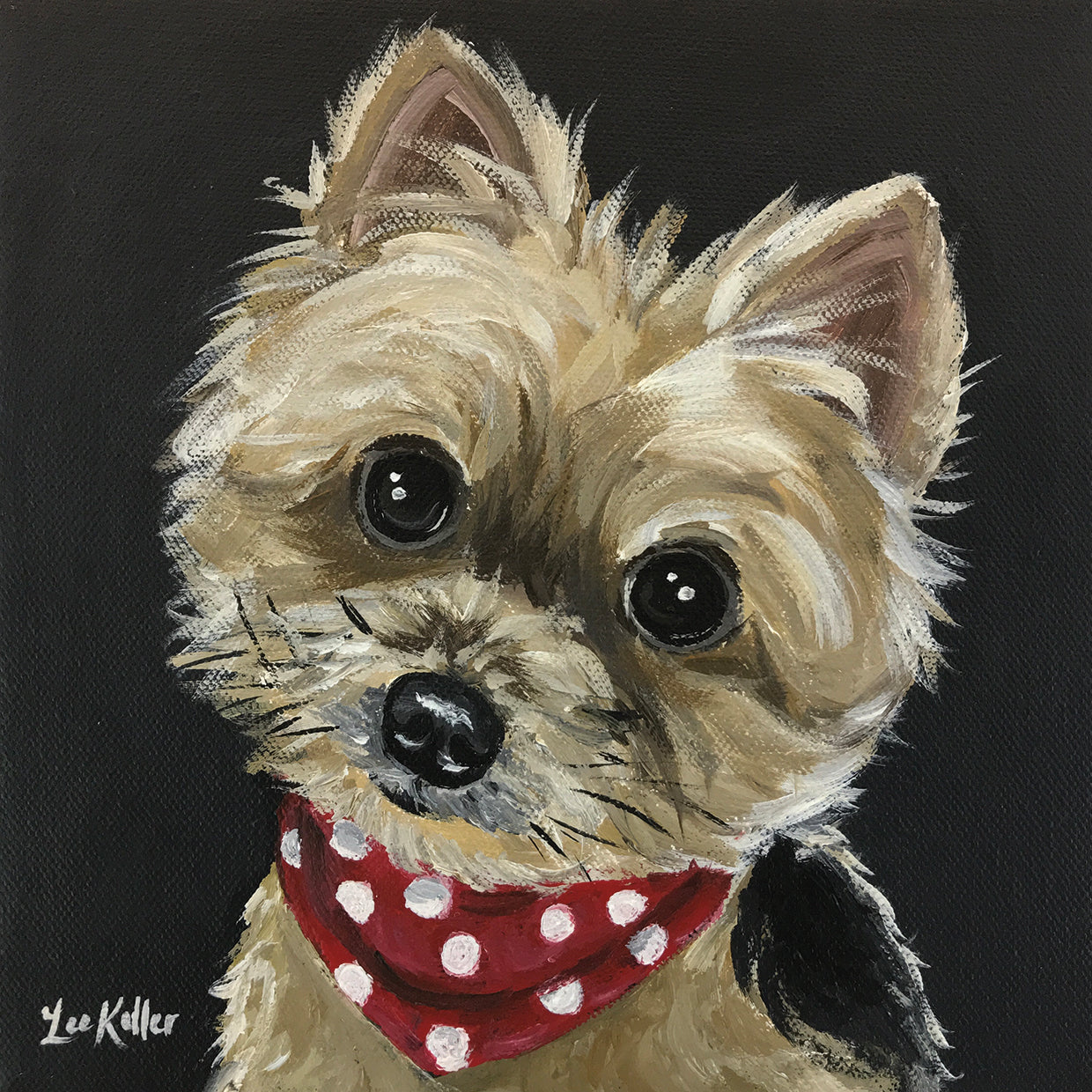 Yorkie Red Bandana Photo
