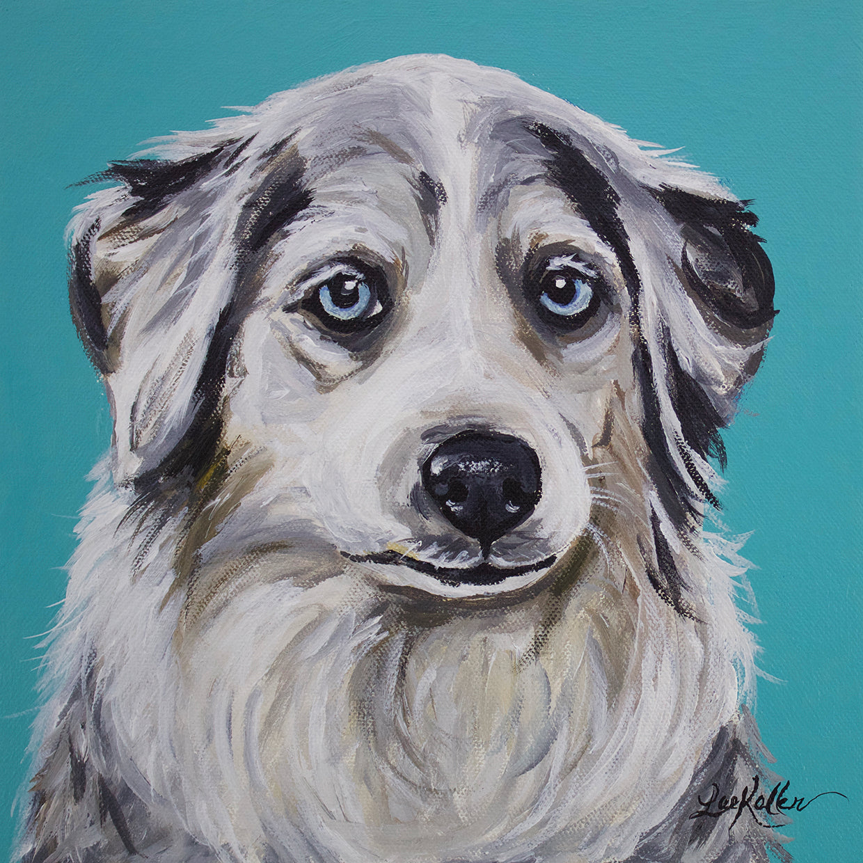 Australian Shepherd Tina