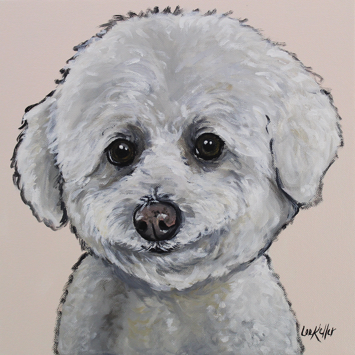 Bichon Frise Cassie