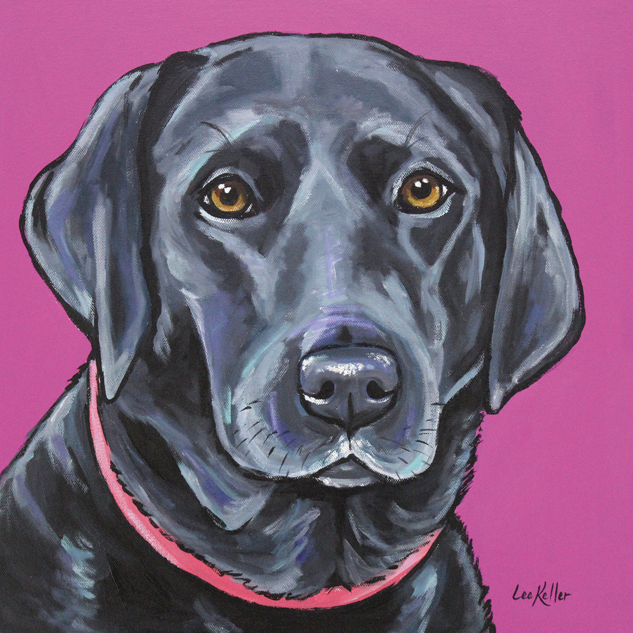 Black Lab On Pink