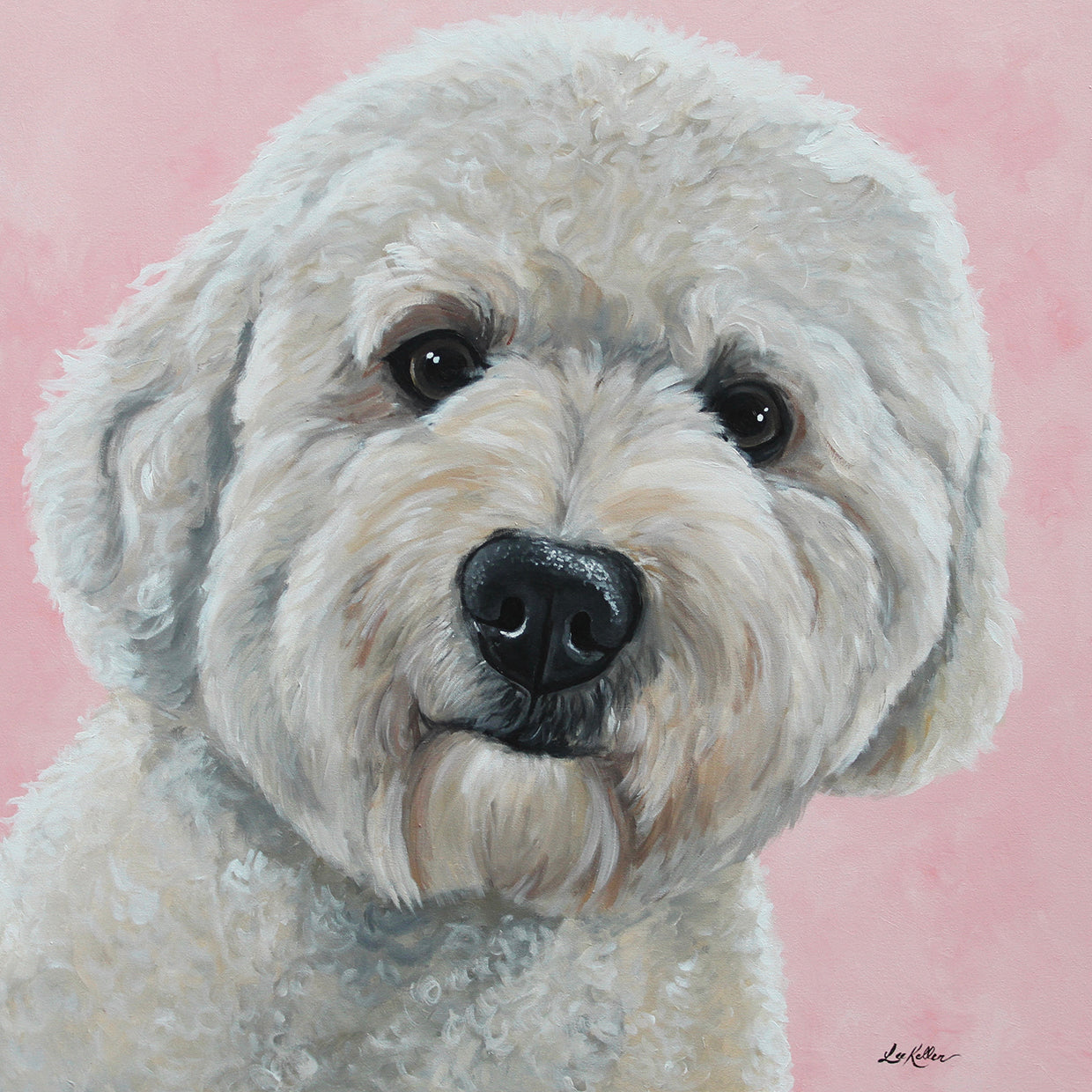 Labradoodle Hank On Pink
