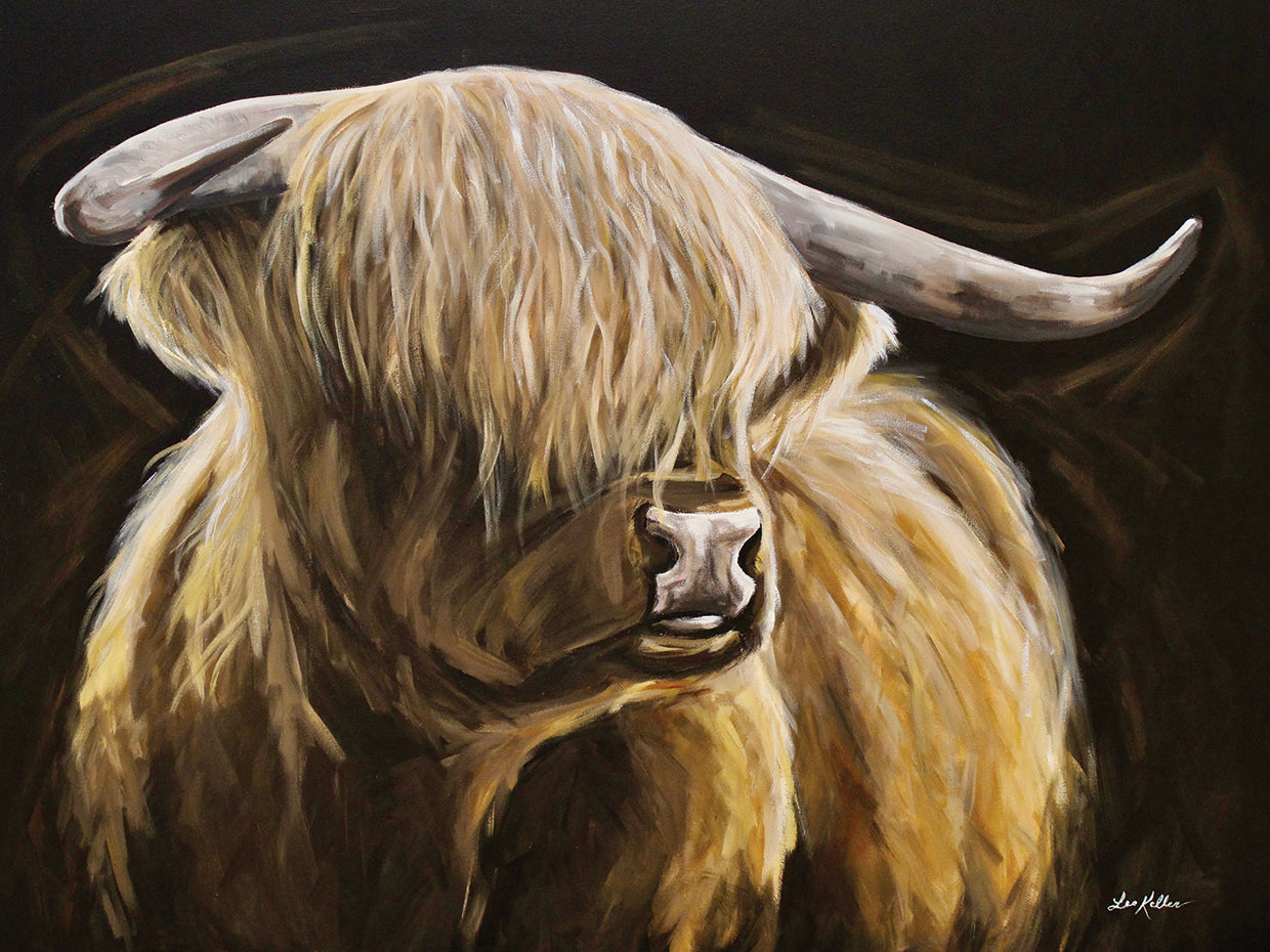 Black Background Highland Cow On Black